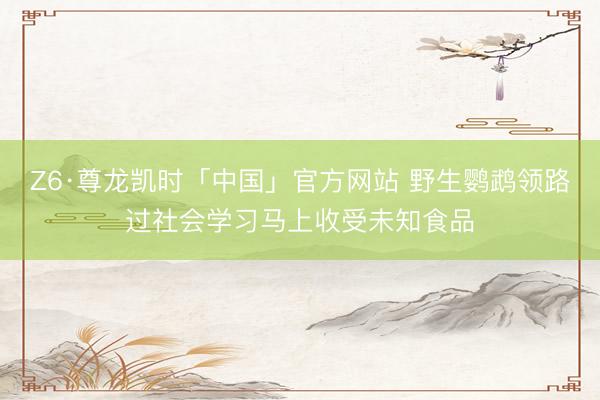 Z6·尊龙凯时「中国」官方网站 野生鹦鹉领路过社会学习马上收受未知食品