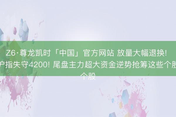 Z6·尊龙凯时「中国」官方网站 放量大幅退换! 沪指失守4200! 尾盘主力超大资金逆势抢筹这些个股