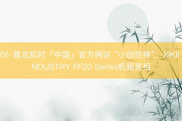 Z6·尊龙凯时「中国」官方网站 “小创世神”:XIKII INDUSTRY FF20 Series机箱亮相