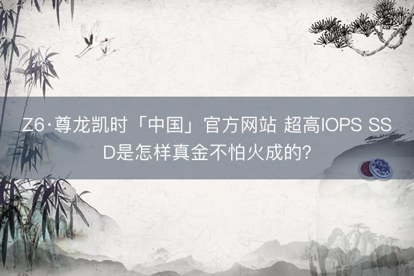 Z6·尊龙凯时「中国」官方网站 超高IOPS SSD是怎样真金不怕火成的？