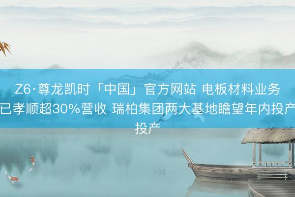 Z6·尊龙凯时「中国」官方网站 电板材料业务已孝顺超30%营收 瑞柏集团两大基地瞻望年内投产
