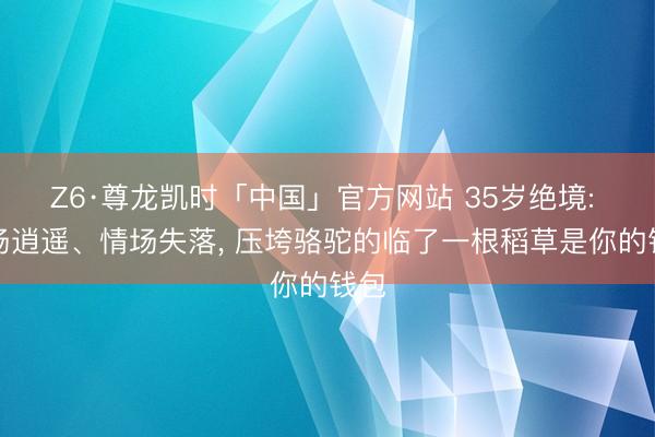 Z6·尊龙凯时「中国」官方网站 35岁绝境: 职场逍遥、情场失落， 压垮骆驼的临了一根稻草是你的钱包