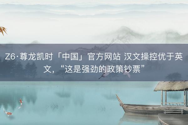 Z6·尊龙凯时「中国」官方网站 汉文操控优于英文，“这是强劲的政策钞票”