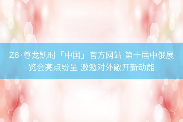 Z6·尊龙凯时「中国」官方网站 第十届中俄展览会亮点纷呈 激勉对外敞开新动能