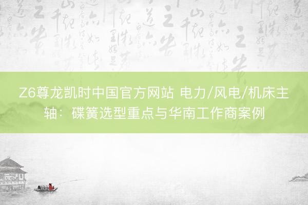 Z6尊龙凯时中国官方网站 电力/风电/机床主轴：碟簧选型重点与华南工作商案例