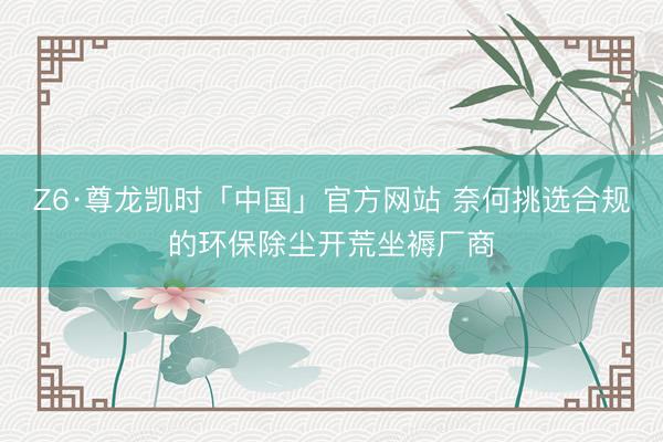 Z6·尊龙凯时「中国」官方网站 奈何挑选合规的环保除尘开荒坐褥厂商
