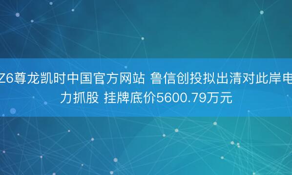 Z6尊龙凯时中国官方网站 鲁信创投拟出清对此岸电力抓股 挂牌底价5600.79万元