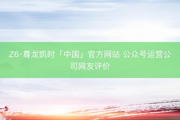 Z6·尊龙凯时「中国」官方网站 公众号运营公司网友评价