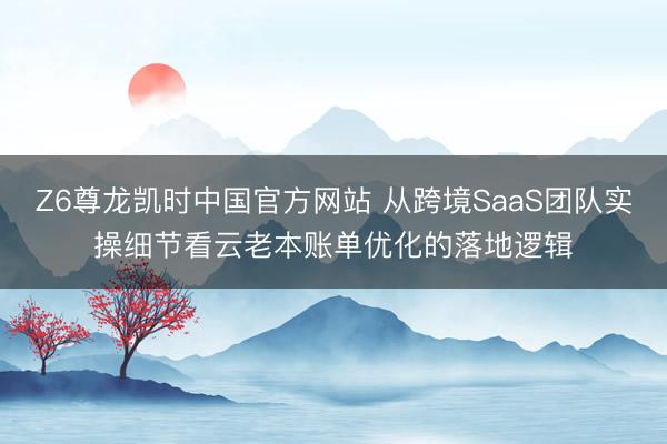 Z6尊龙凯时中国官方网站 从跨境SaaS团队实操细节看云老本账单优化的落地逻辑