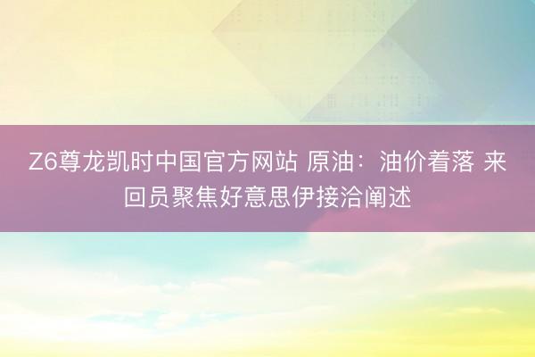 Z6尊龙凯时中国官方网站 原油:油价着落 来回员聚焦好意思伊接洽阐述