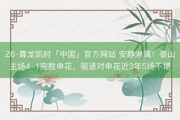 Z6·尊龙凯时「中国」官方网站 安静淋漓！泰山主场4-1完胜申花，驱逐对申花近3年5场不堪
