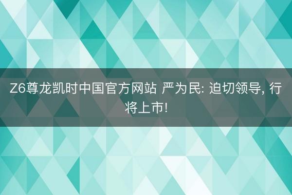 Z6尊龙凯时中国官方网站 严为民: 迫切领导， 行将上市!