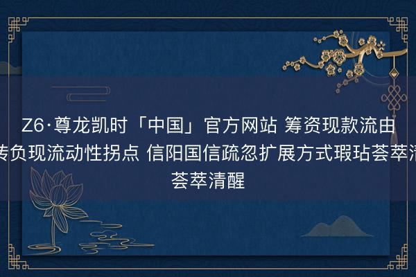 Z6·尊龙凯时「中国」官方网站 筹资现款流由正转负现流动性拐点 信阳国信疏忽扩展方式瑕玷荟萃清醒