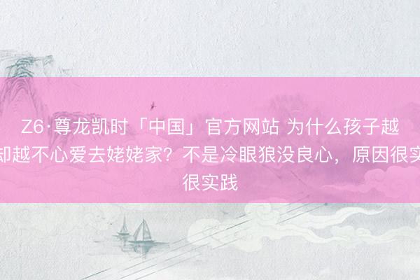 Z6·尊龙凯时「中国」官方网站 为什么孩子越大却越不心爱去姥姥家？不是冷眼狼没良心，原因很实践