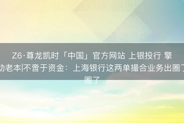 Z6·尊龙凯时「中国」官方网站 上银投行 擎动老本|不啻于资金：上海银行这两单撮合业务出圈了