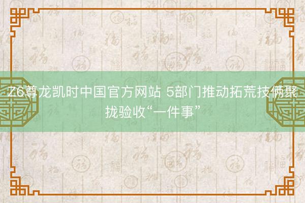 Z6尊龙凯时中国官方网站 5部门推动拓荒技俩聚拢验收“一件事”