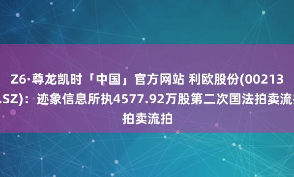 Z6·尊龙凯时「中国」官方网站 利欧股份(002131.SZ)：迹象信息所执4577.92万股第二次国法拍卖流拍
