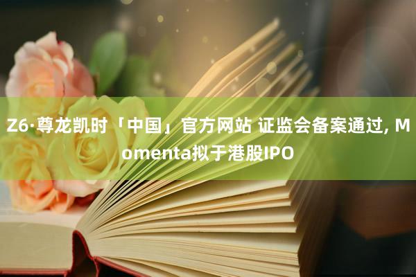 Z6·尊龙凯时「中国」官方网站 证监会备案通过， Momenta拟于港股IPO