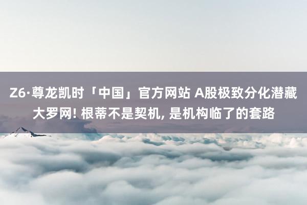 Z6·尊龙凯时「中国」官方网站 A股极致分化潜藏大罗网! 根蒂不是契机， 是机构临了的套路