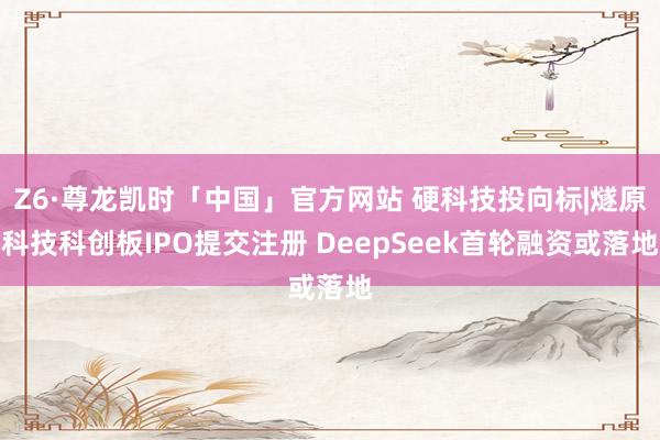 Z6·尊龙凯时「中国」官方网站 硬科技投向标|燧原科技科创板IPO提交注册 DeepSeek首轮融资或落地