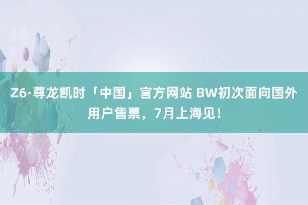 Z6·尊龙凯时「中国」官方网站 BW初次面向国外用户售票，7月上海见！
